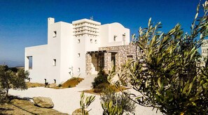 Experience serene relaxation in a unique, geometric villa surrounded by a well-maintained garden with olive trees.