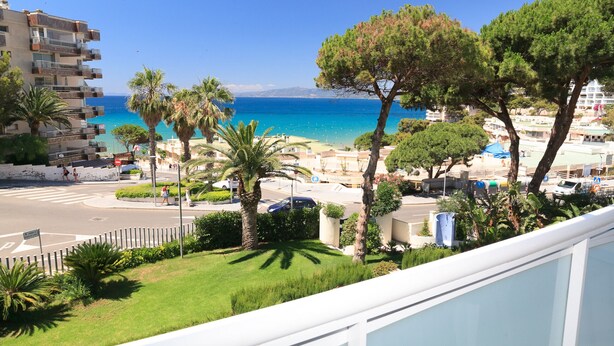 A coastal view with a beach, palm trees, and a road with cars.