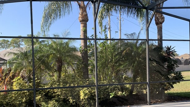A swimming pool with clear blue water, surrounded by a metal fence and palm trees. - Spacious, LUXURY 4 bedroom villa with pool and spa close to Disney (Haines City)