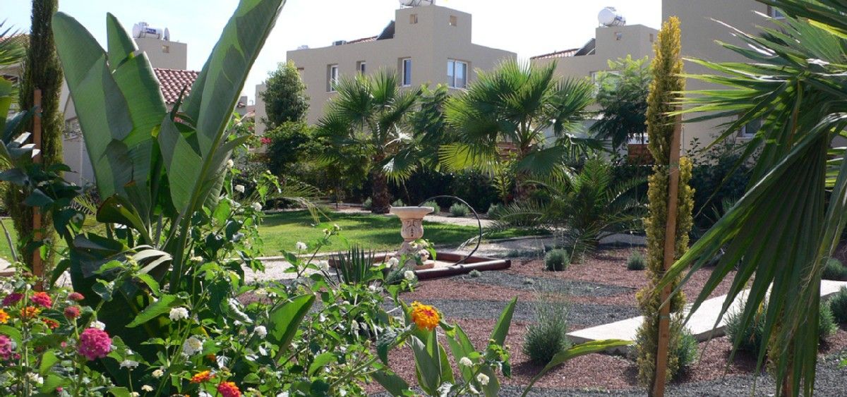 Beautiful landscaping outside villa
