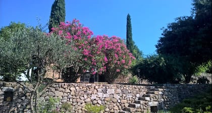 Desde el 31 de agosto de 2019 (temporada baja) 46 € / día (mini 7 días)