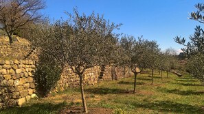 Un muro de piedra con árboles en un jardín.