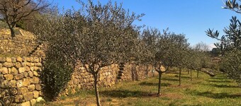 Holiday Gite in Southern Ardeche