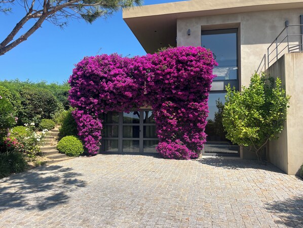 تفاصيل الفندق من الخارج