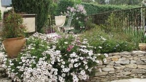 A garden with a stone wall, potted plants, and a chair. - Charming villa with swimming pool, Avignon, 6 people, large Mediterranean garden (Villeneuve-Lès-Avignon)