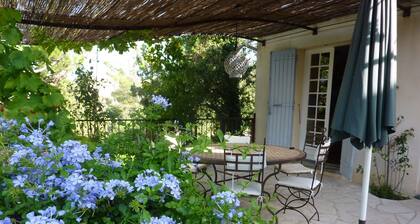 Charming villa with swimming pool, Avignon, 6 people, large Mediterranean garden
