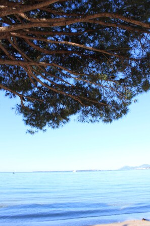 Plage à proximité, serviettes de plage