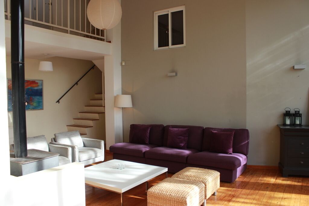 TV connectée, cheminée, lecteur de DVD, livres