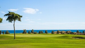 A golf course with a flagstick, palm trees, and a view of the ocean.