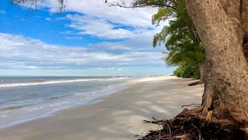 Perto da praia, espreguiçadeiras, toalhas de praia