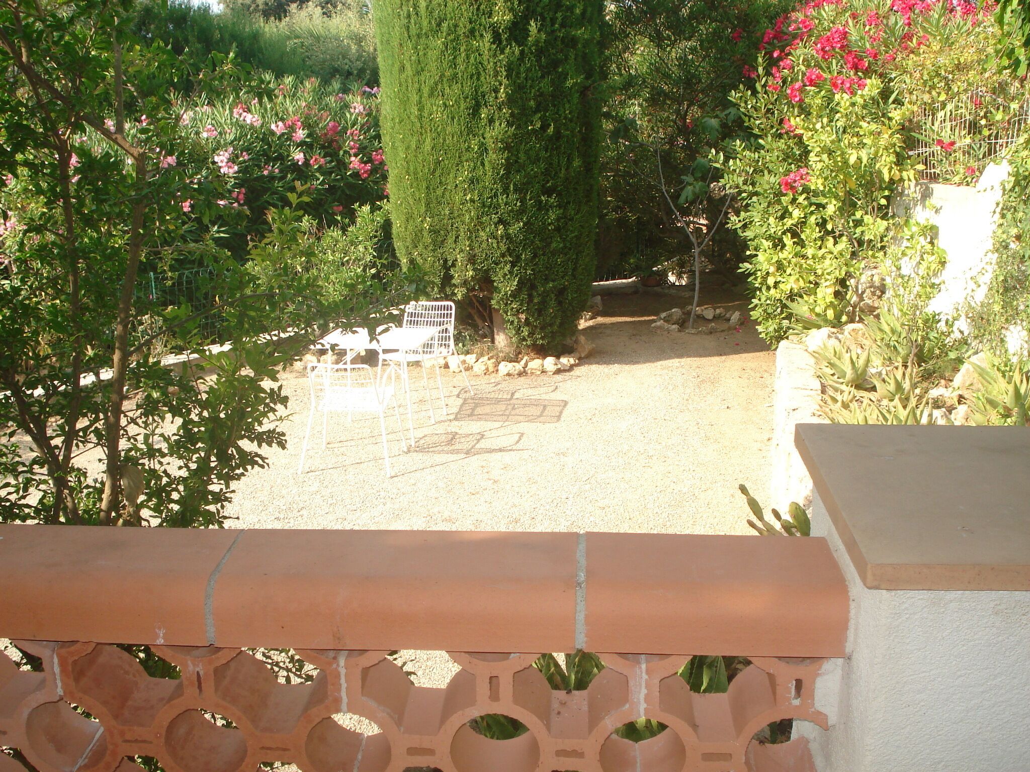 A garden with a gravel path, a white metal chair, and a tall tree.