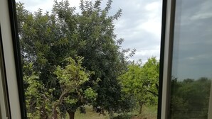 Vista attraverso una porta di vetro su un patio con pavimento piastrellato e un albero sullo sfondo.