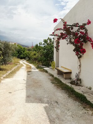 Property grounds - Villa Corradò 500m from the sea .Swimming pool, 6-7posti CIN IT089002C2PERUWYY (Avola)