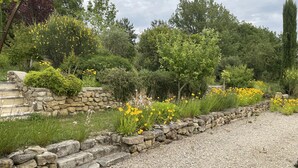 A garden with a gravel path, stone steps, and various plants and flowers.