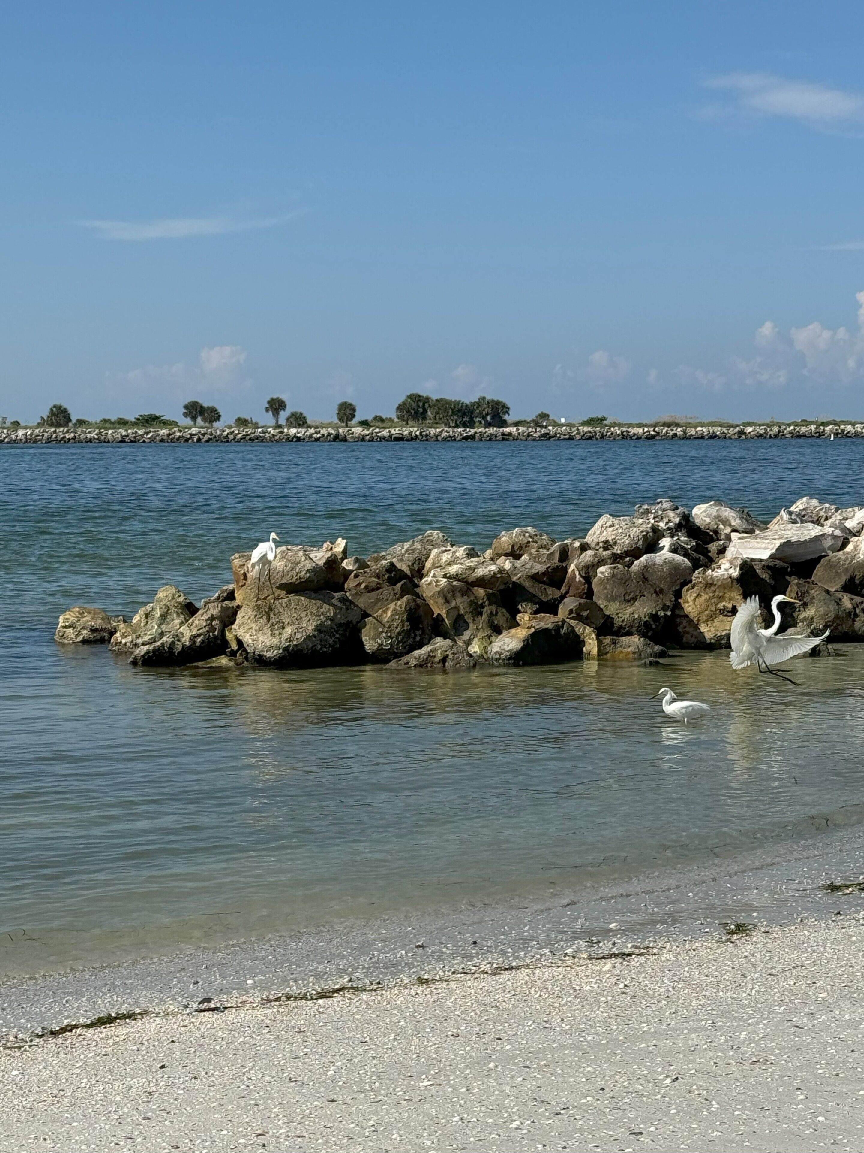 Eine felsige Küstenlinie mit klarem Wasser, ein Sandstrand und eine entfernte Baumgrenze.