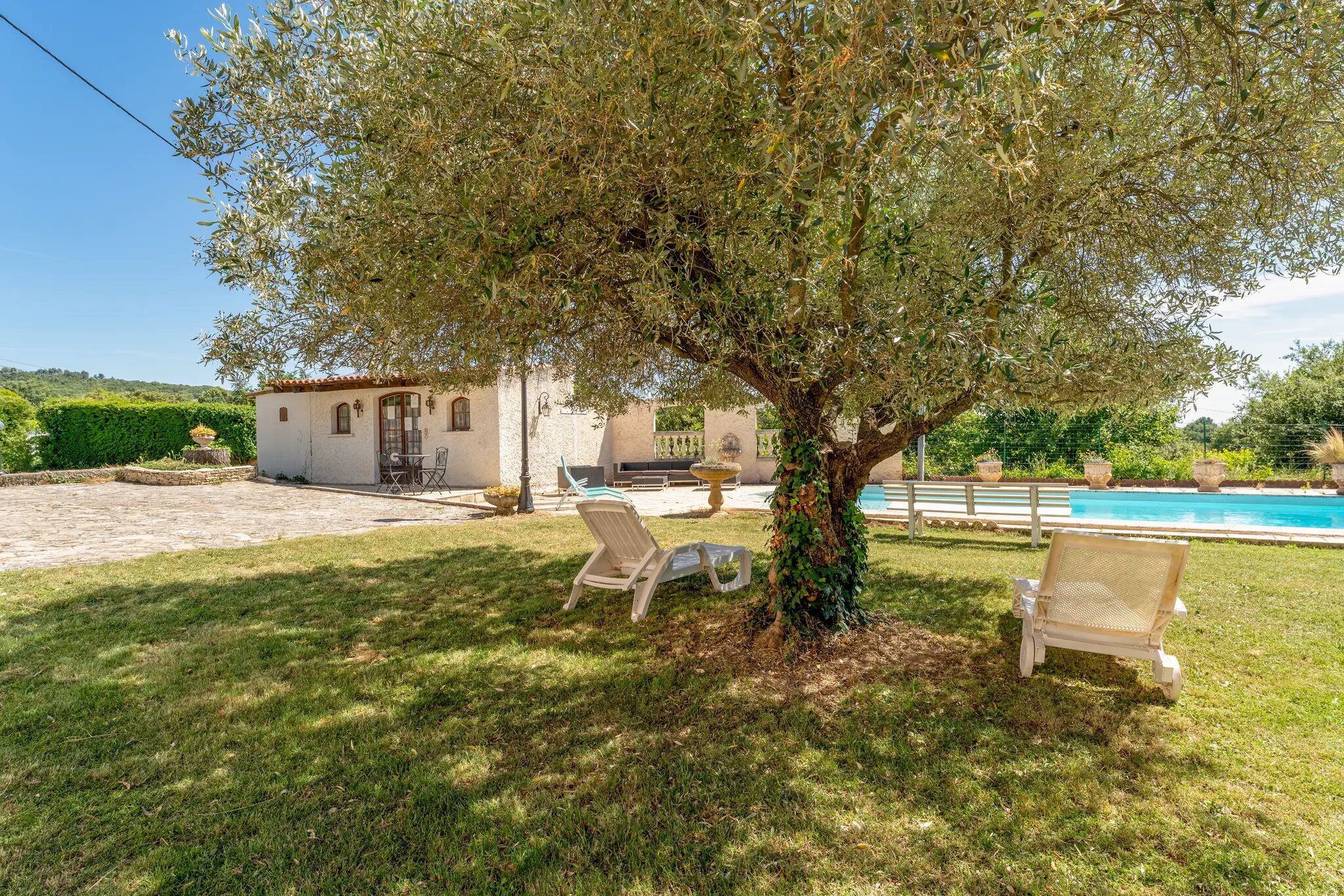Une villa avec une piscine, deux chaises longues et un arbre dans le jardin.