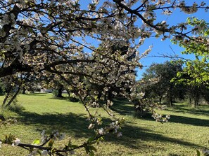 Jardines del alojamiento