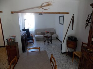 Télévision, cheminée, jeux vidéo, lecteur de DVD