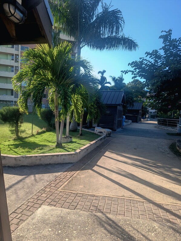A paved driveway leading to a building with a fenced garden area, palm trees, and a clear blue sky. - Beachfront Bliss | 1-BR condo with Panornomic sea-View (Ocho Rios)