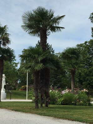 Parco della struttura