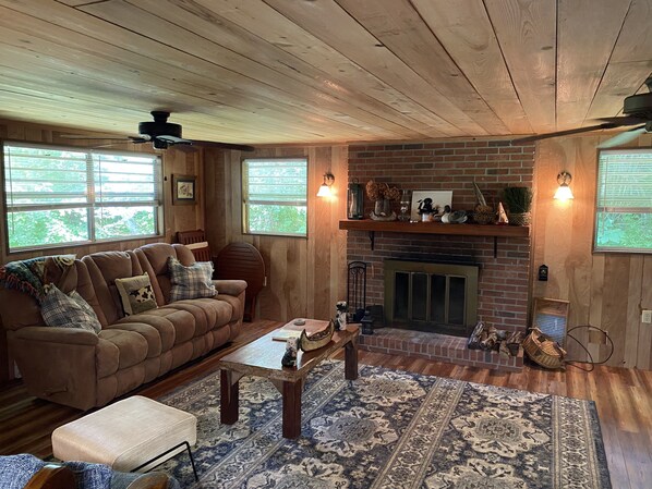 تلفزيون ذكي، مدفأة، مشغل دي في دي، مكتبة فيديو