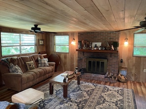Smart TV, fireplace, DVD player, video library