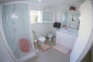 Shower, hair dryer, bidet, toilet paper