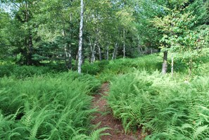 Property grounds - Spectacular private island (St. George)