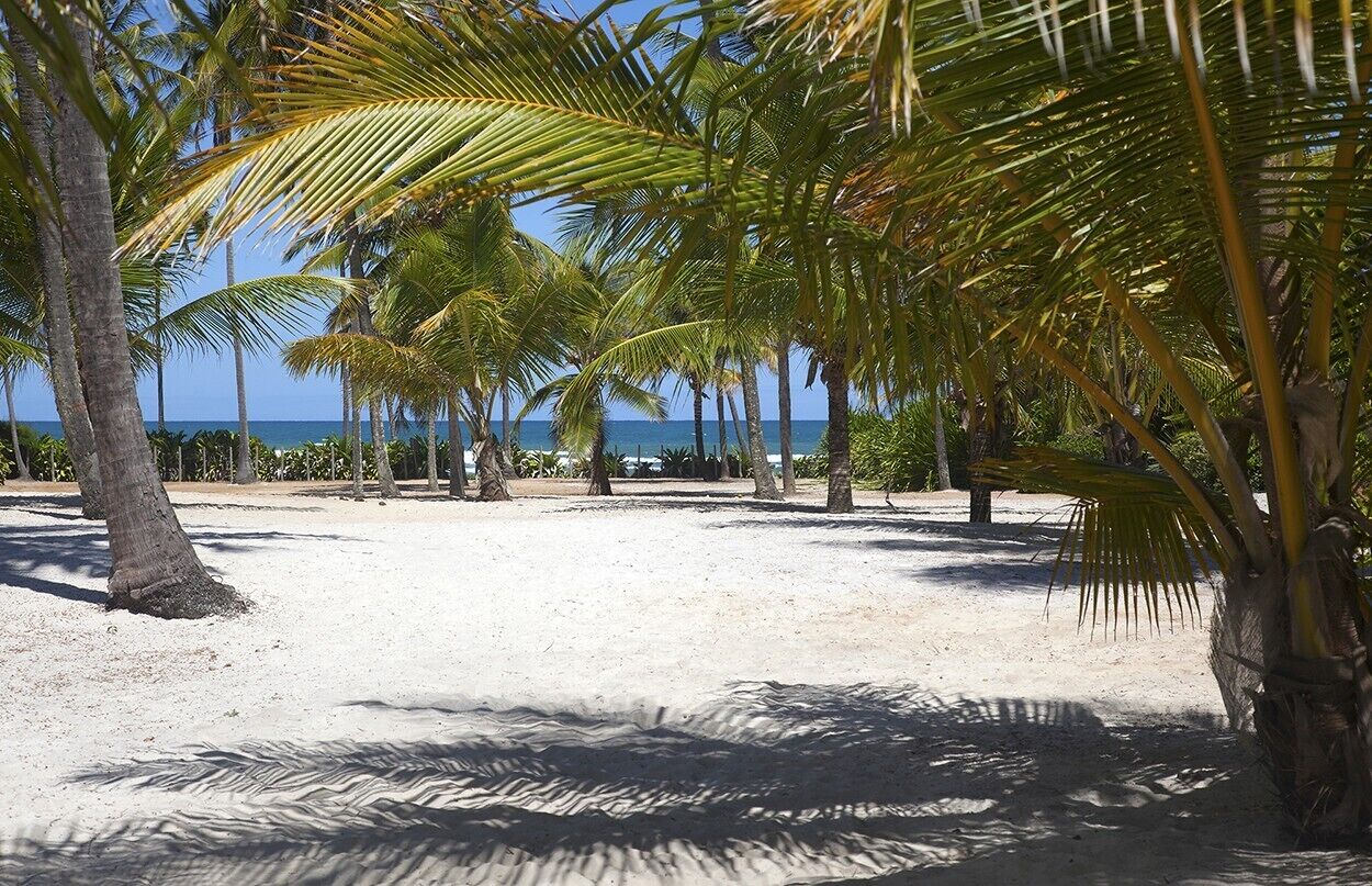 Beach house in tropical garden with swimming pool, sea view, 150m from the beach