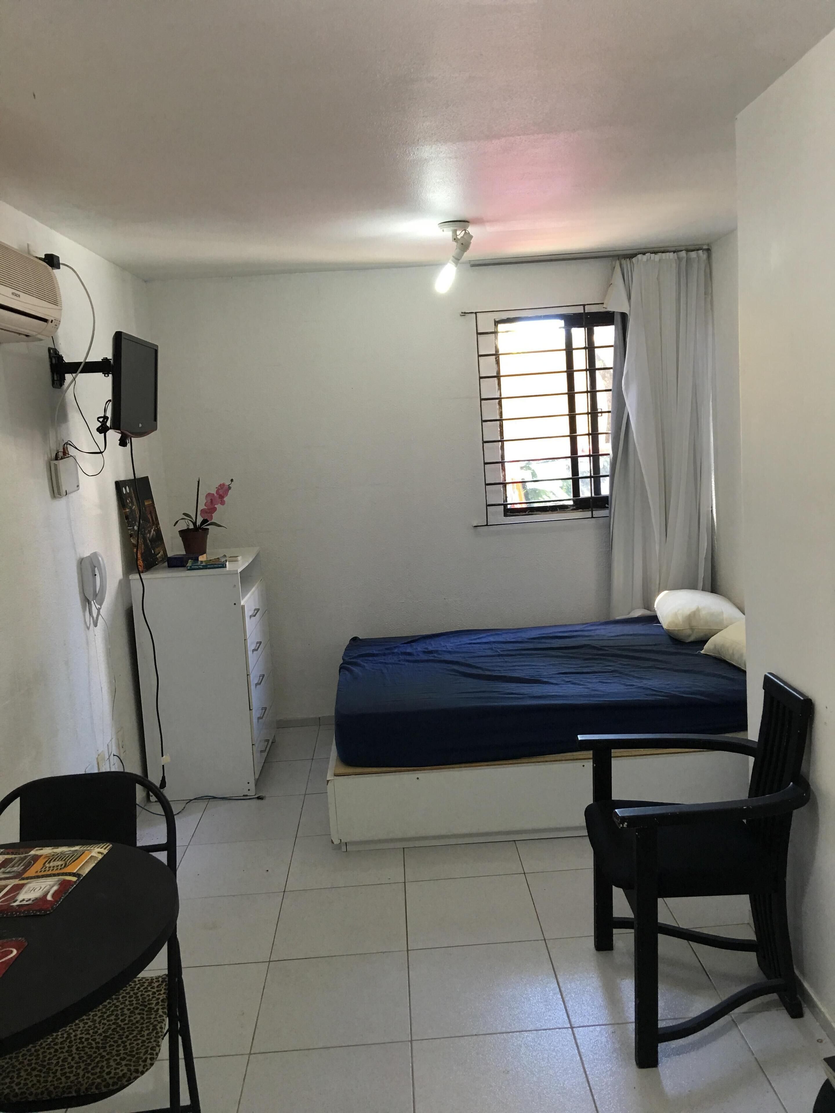 flat good trip reef / PE