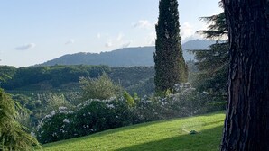 A grassy landscape with a large tree and a distant mountain range. - chaming little house with pool facing the most  beautiful tuscan scenary  (Lucca)
