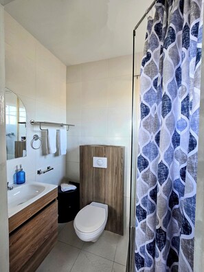 Regadera, amenidades de baño gratuitas, secadora de cabello, toallas 