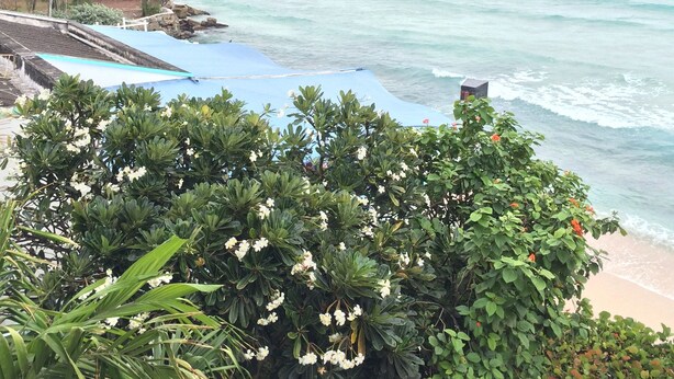 Vista de una playa con costa rocosa, un lona azul y abundante vegetación.