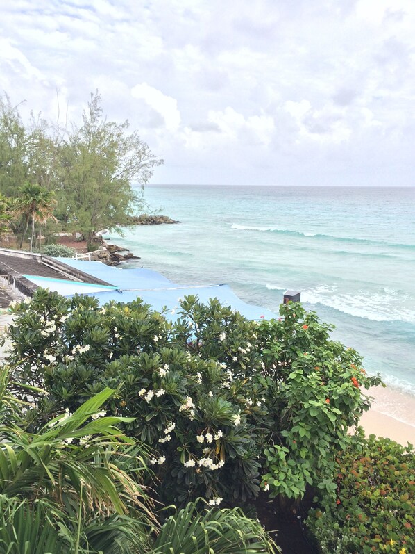 Beach nearby, sun loungers, beach towels - EMJAY VILLAS AT MIAMI BEACH AND OISTINS (Enterprise)