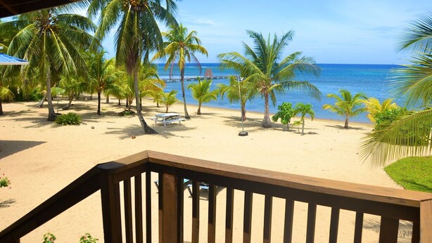 A beach with palm trees, a wooden deck, and a view of the ocean.