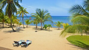A beach with palm trees, a sandy shore, and two lounge chairs.