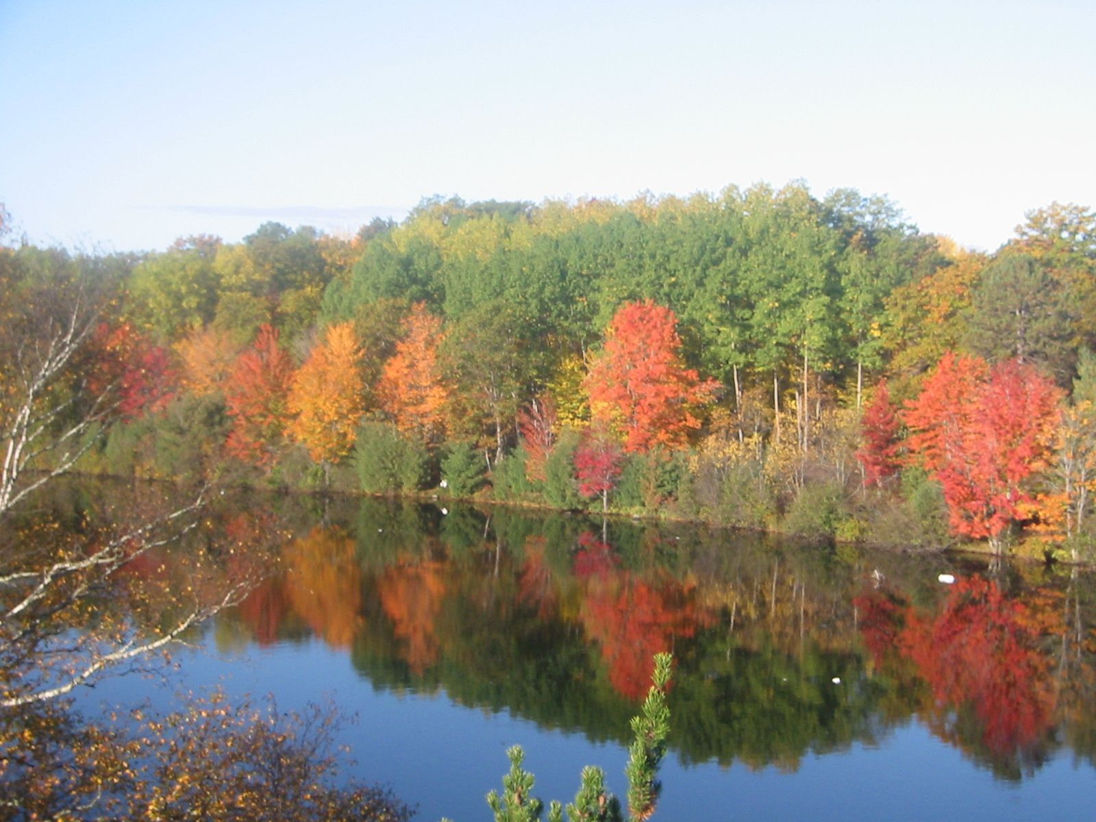 Ein ruhiger See spiegelt Bäume mit Herbstlaub wider.