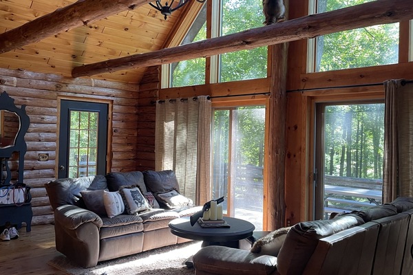 Smart TV, fireplace, video games, DVD player