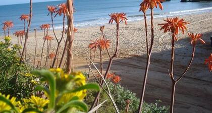 Half hectare property, 6 comfort rooms w/private AC&Bathroom, garden, pool, 4-12 persons