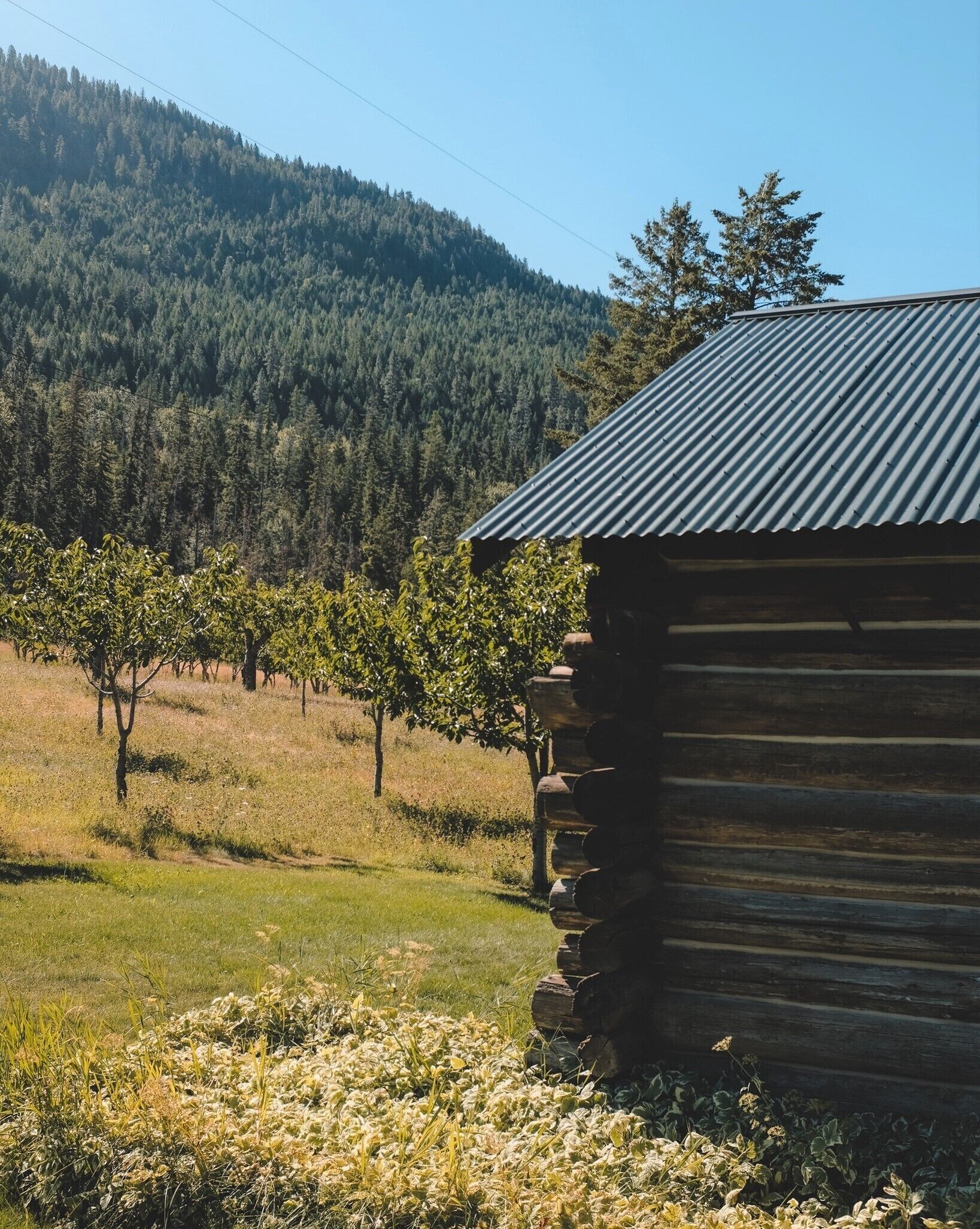 7 Best Vrbo Vacation Rentals In Polson, Montana Updated Trip101