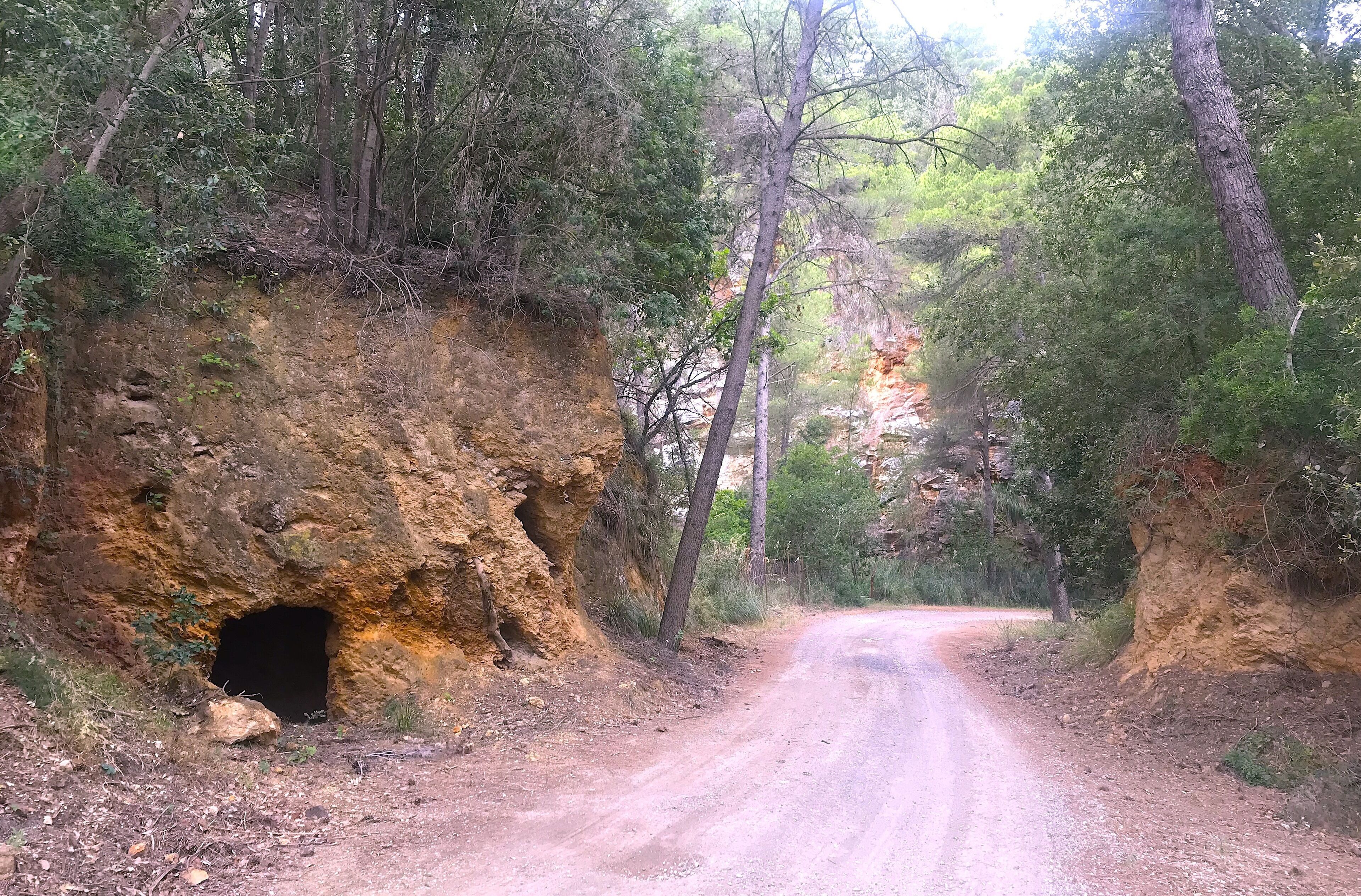 Un chemin de terre traverse une zone boisée, et on aperçoit, sur la gauche, une structure ressemblant à une grotte.