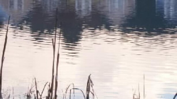 Une rangée de maisons au bord d’un lac paisible, dont les eaux reflètent le paysage.