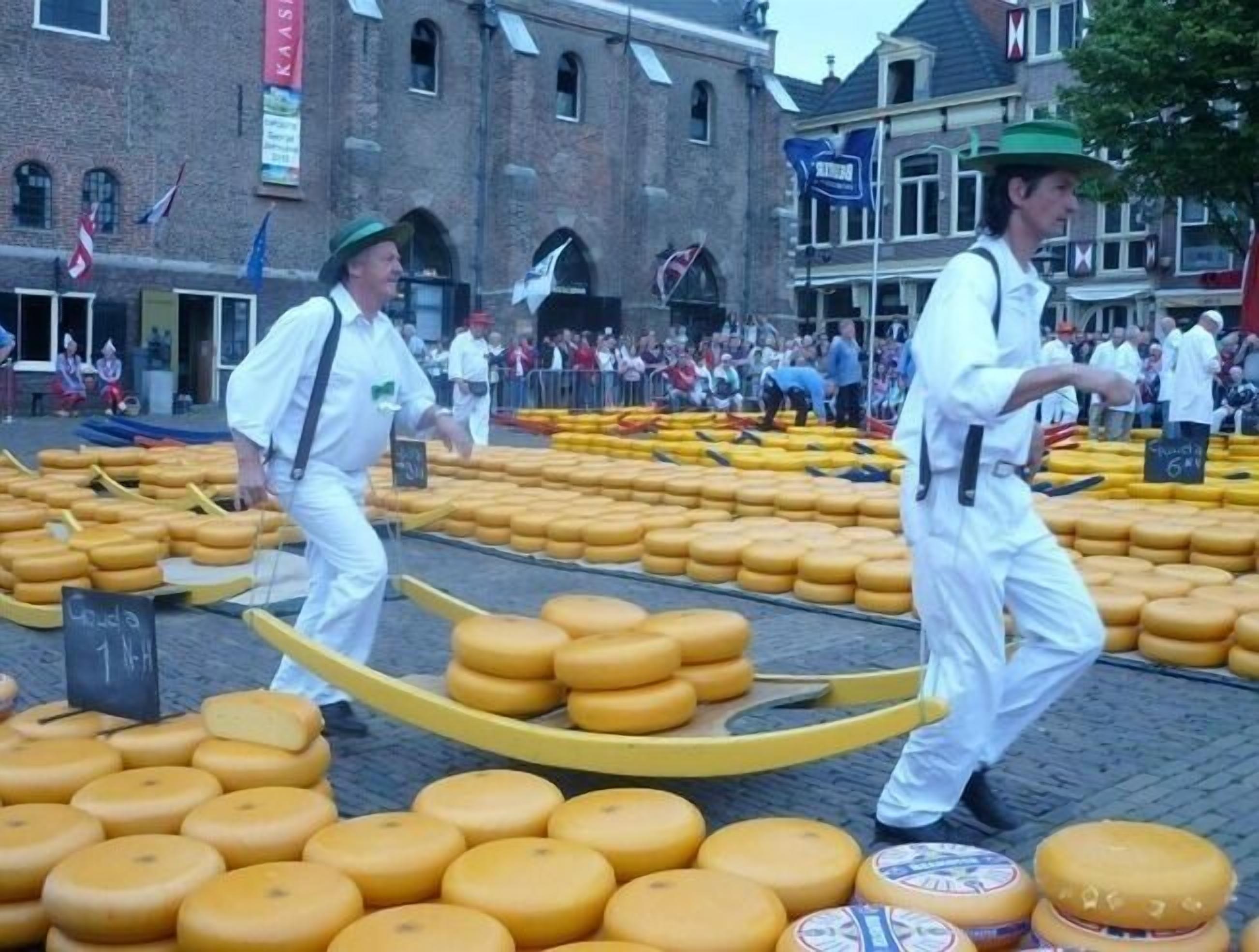 Un mercado de quesos con grandes ruedas de queso expuestas sobre mesas.