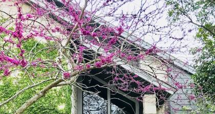 Botanical & Wildlife Paradise w/POOL & HOT TUB!