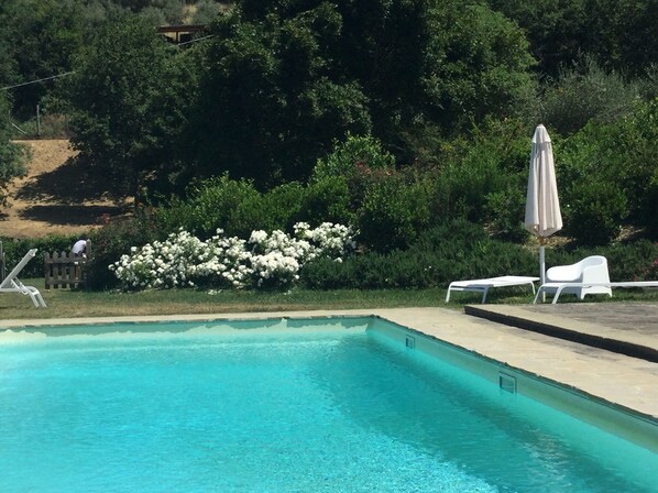 Alberca al aire libre 