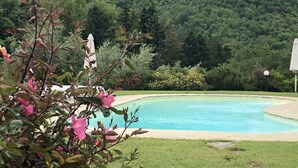 A swimming pool surrounded by lush greenery and a hill in the background.