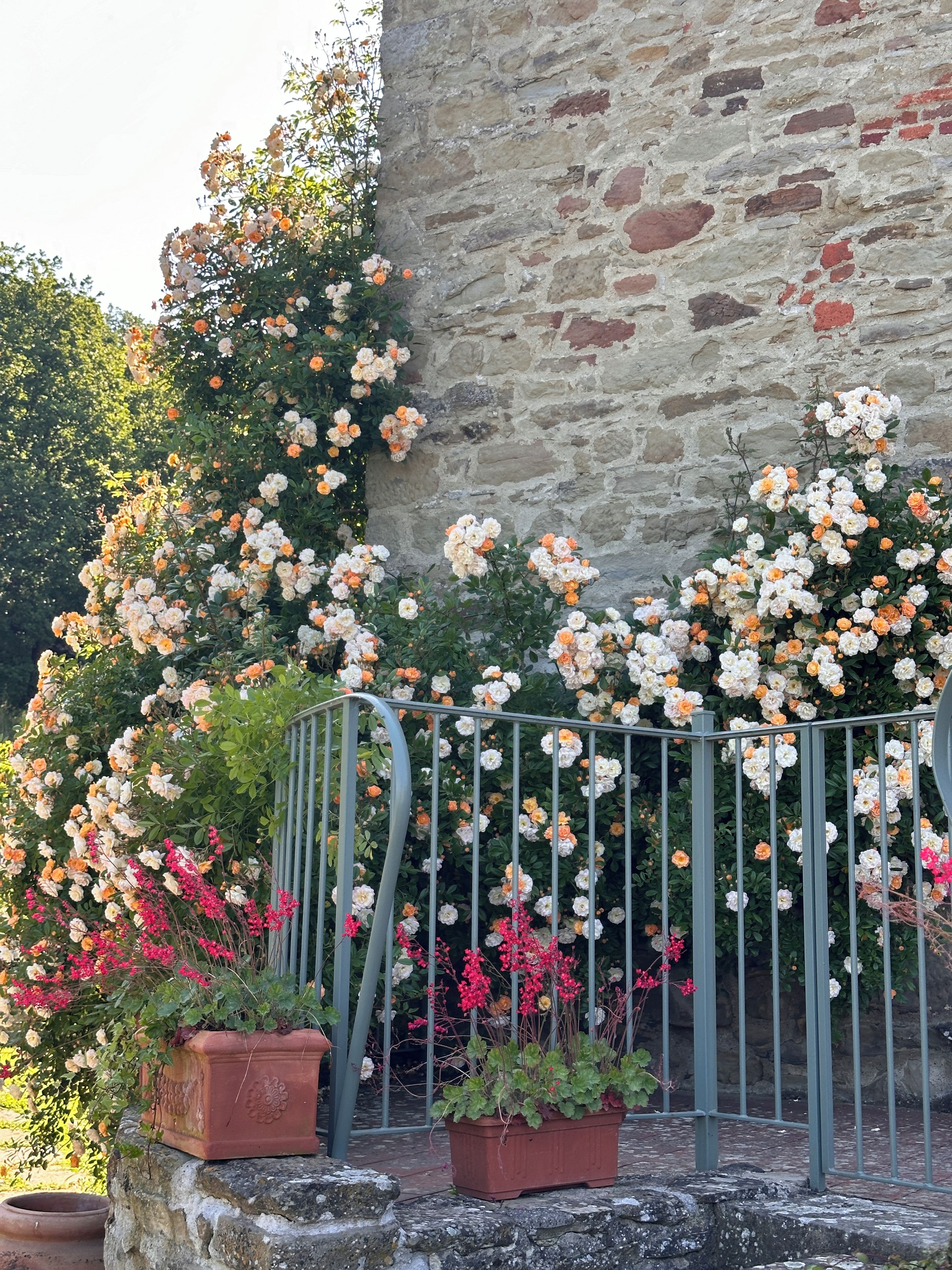 Un jardin agrémenté de plantes à fleurs et doté d’un mur en pierre.