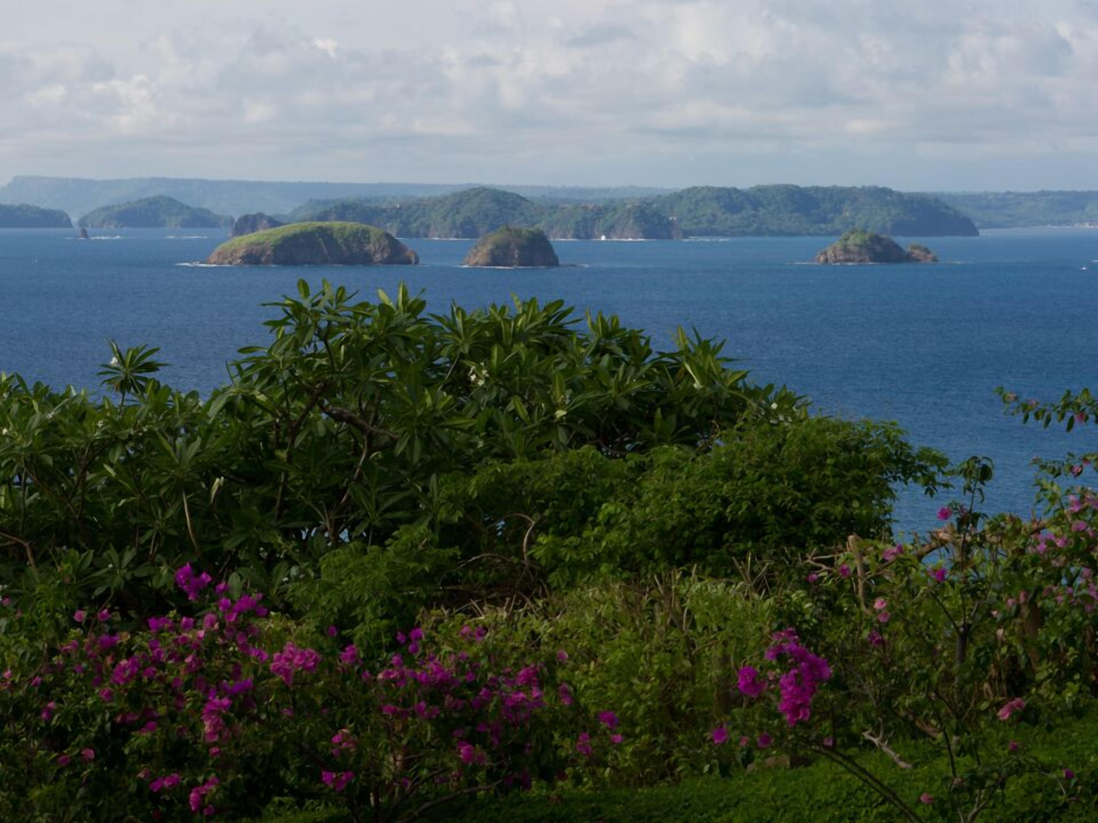 Vue sur la plage/l’océan