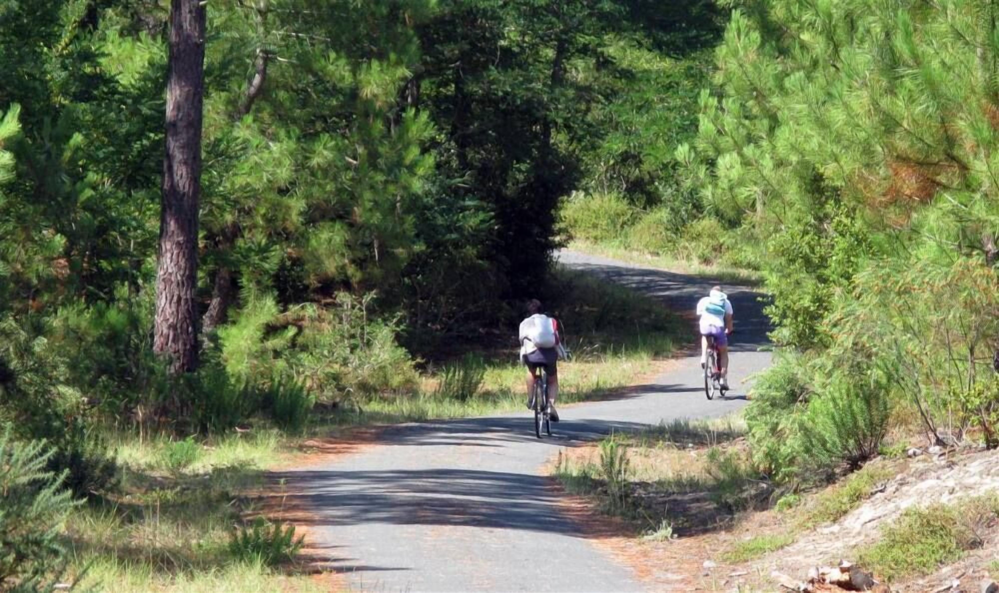 Dos ciclistas en un camino pavimentado rodeado de abundante follaje verde.