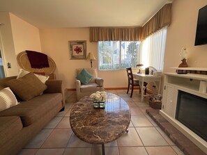 Smart TV, fireplace, books